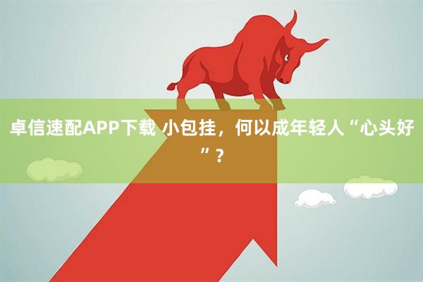 卓信速配APP下载 小包挂，何以成年轻人“心头好”？