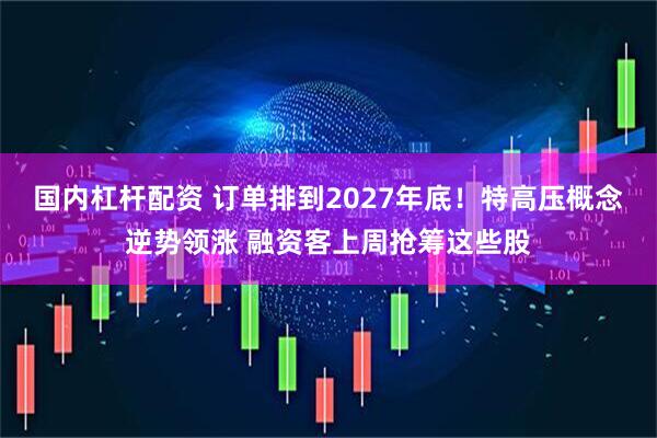 国内杠杆配资 订单排到2027年底！特高压概念逆势领涨 融资客上周抢筹这些股